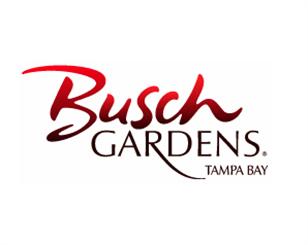Ponto Orlando Dicas de Tampa Busch Gardens 001