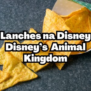Lanches da Disney – o melhores no Disney’s Animal Kingdom